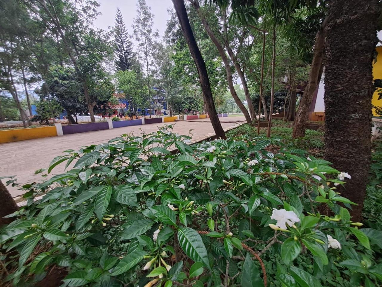 Ushodaya Resorts Araku Exteriör bild