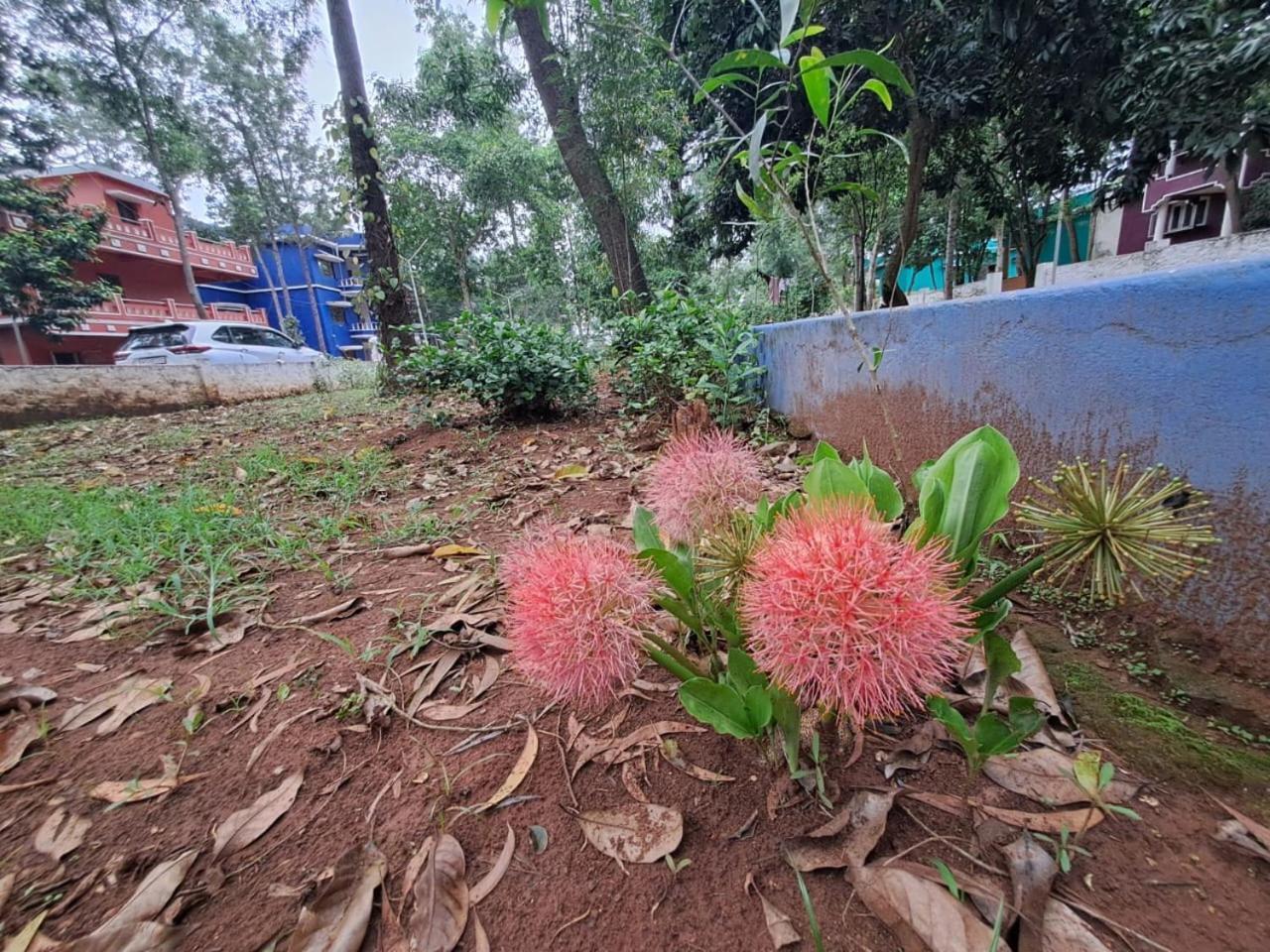 Ushodaya Resorts Araku Exteriör bild